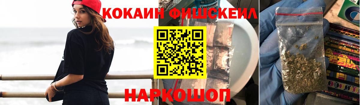 купить наркоту  Кокаин Эквадор  COCAIN FishScale  Вход с VPN  Камышин 